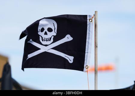 Flags in Focus