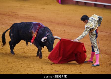 Echoes of Tradition – Seville Bullfight